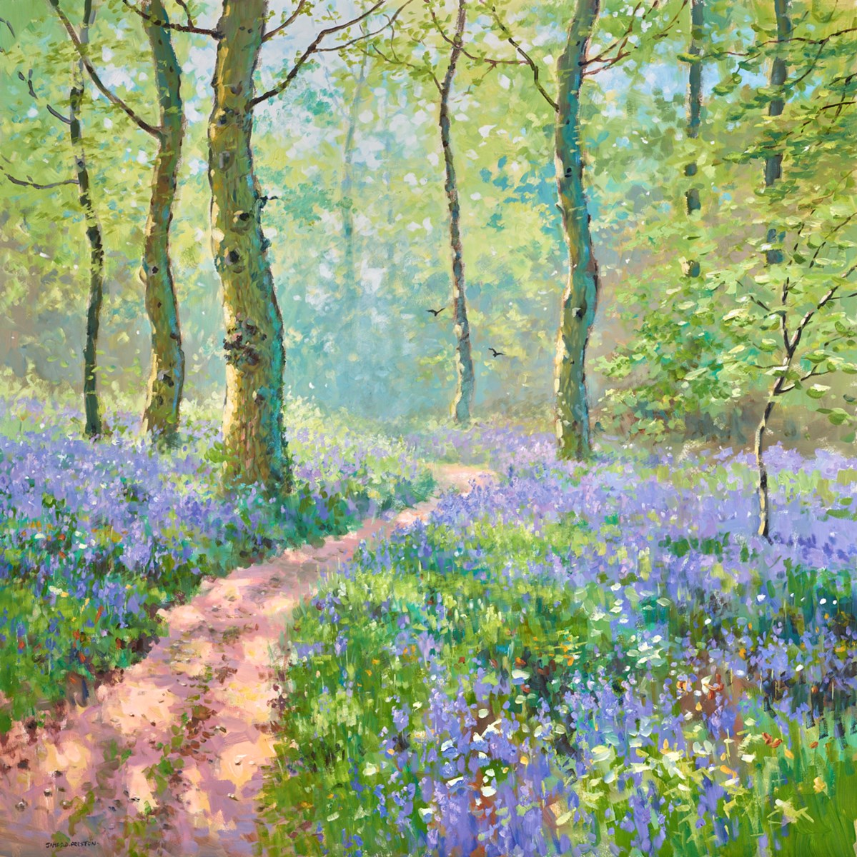 Bluebells